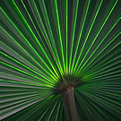 Praxis f�r Chinesische Medizin