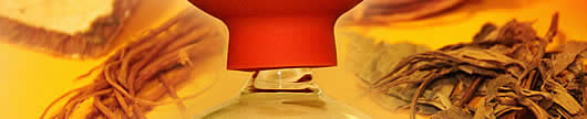 Praxis f&uuml;r Chinesische Medizin